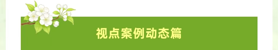 视点案例动态篇.jpg